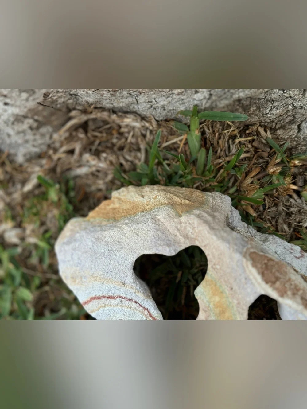 Natural Sandstone Decorative Rock w/ Red & Cream Striations for Aquarium or Tank